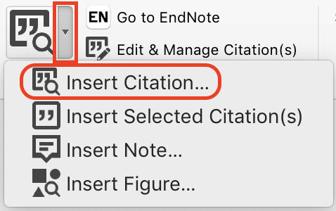 edit a citation in work for a mac